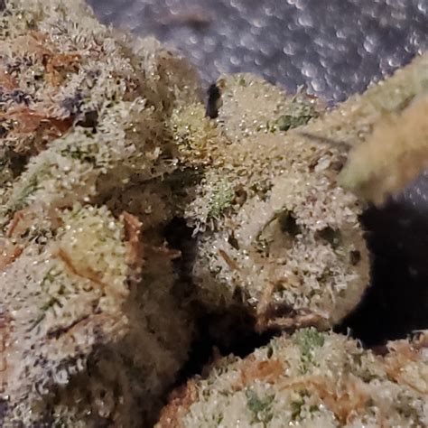 Sparkle face weed strain - low THC high THC. The Original Z (popularly known as "Zkittlez", aka "Skittles," "Skittlz," and "Island Skittles") is an indica hybrid marijuana strain bred from an alleged mix of Grape Ape and ...